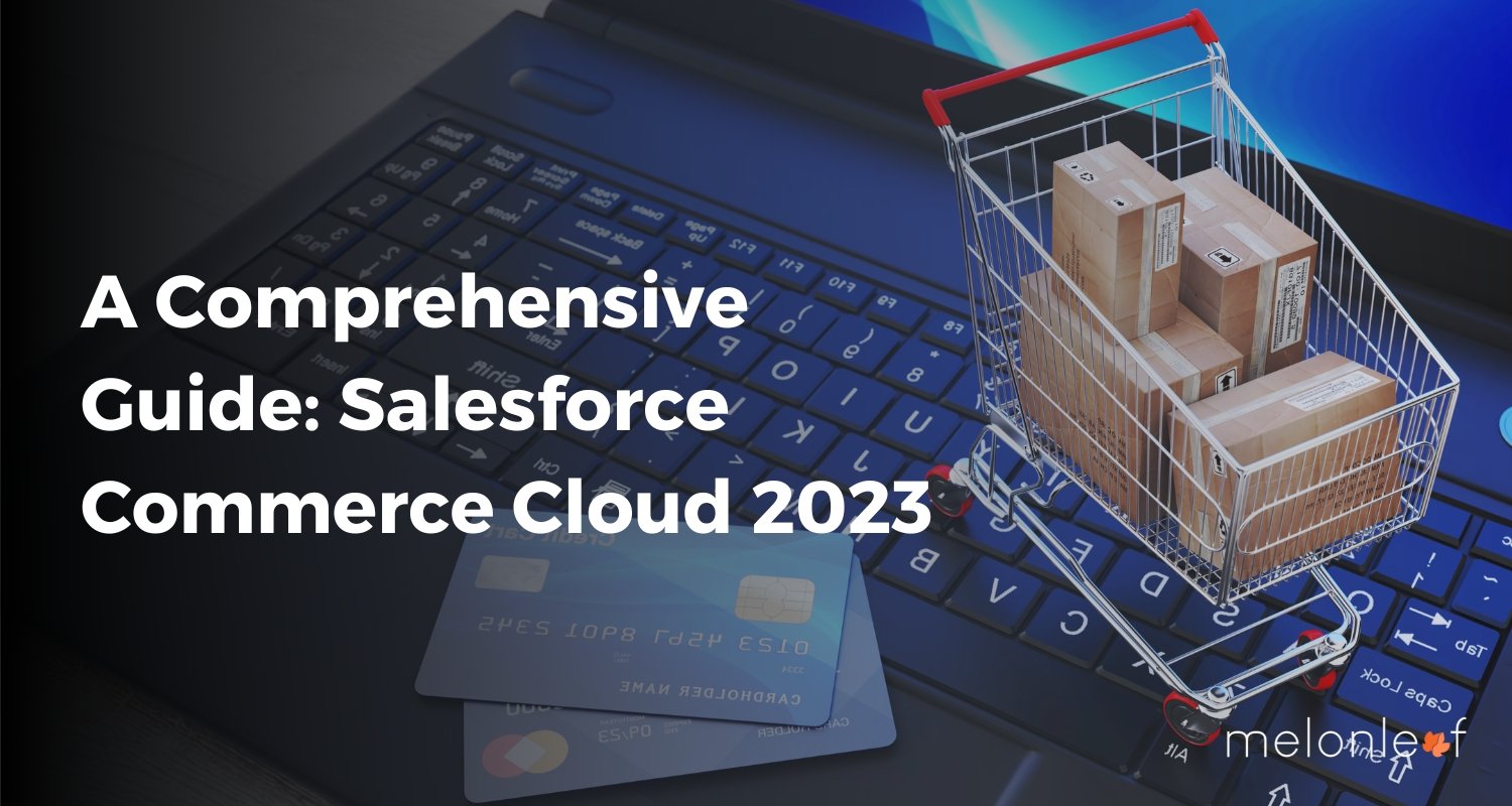 A Comprehensive Guide: Salesforce Commerce Cloud 2023
