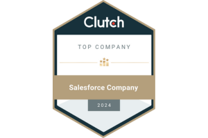 Top Salesforce Company 2024 - Melonleaf Consulting