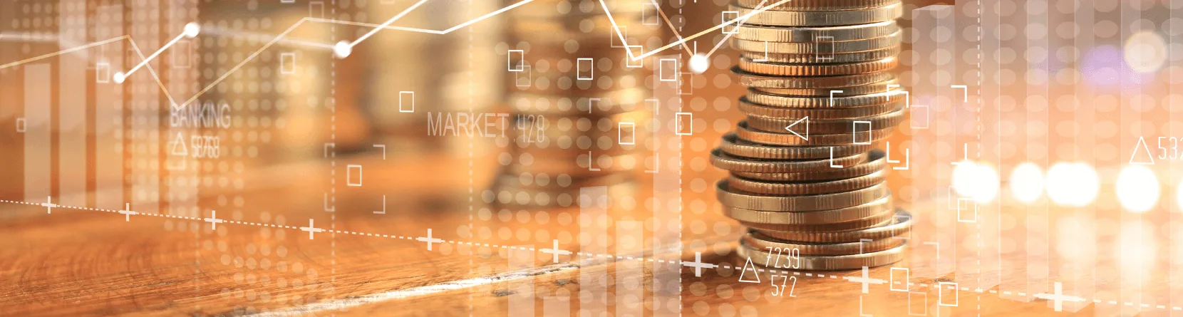 Loan Management System