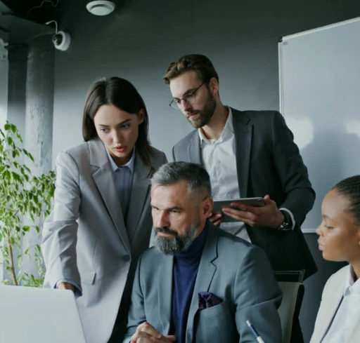 Why Choose Melonleaf - Salesforce Customization Services in USA