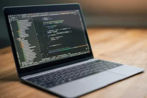 Why Choose Melonleaf - Software Integration Services (Small)