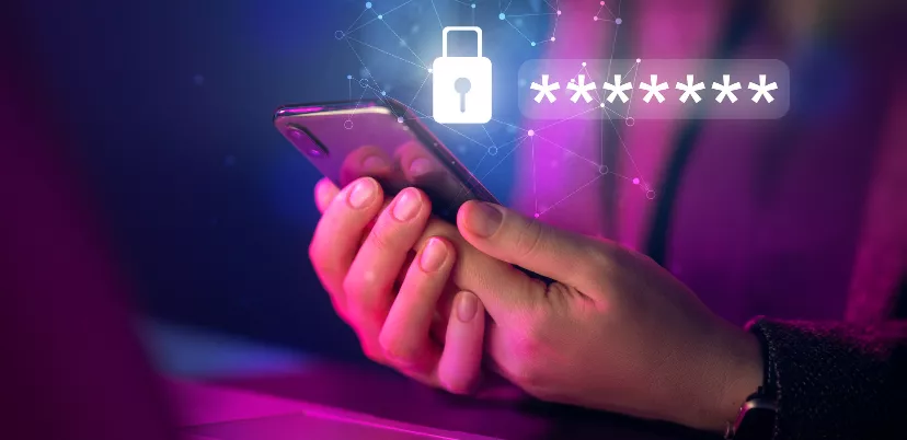 Meeting USA Compliance & Security Standards