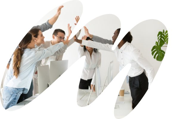 Why Businesses in Chicago Trust Melonleaf Developers