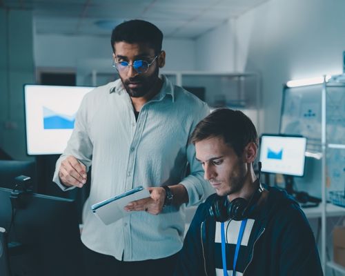 Data Governance services