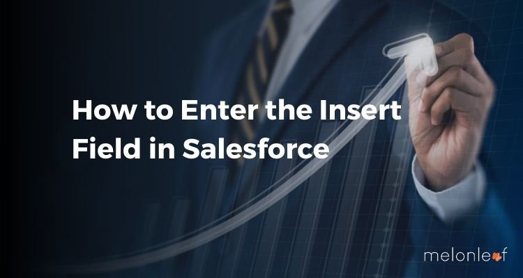 How to Enter the Insert Field in Salesforce