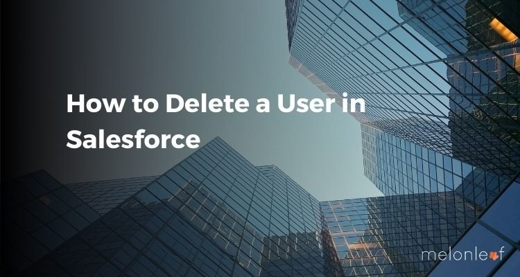 How to Delete a User in Salesforce