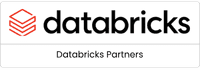 Databricks Partners