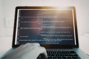 Why Choose Melonleaf - Hire Salesforce Developers in USA (small)