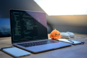 Why Choose Melonleaf - Offshore Salesforce Development in USA (small) (2)
